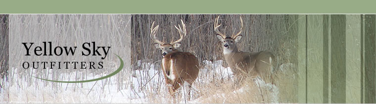 Yellow Sky Outfitters